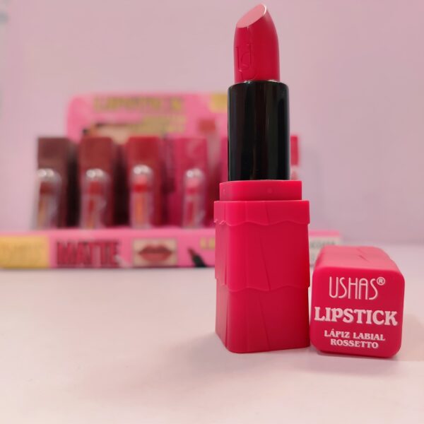 Labial Matte LipStick RossettoUshas