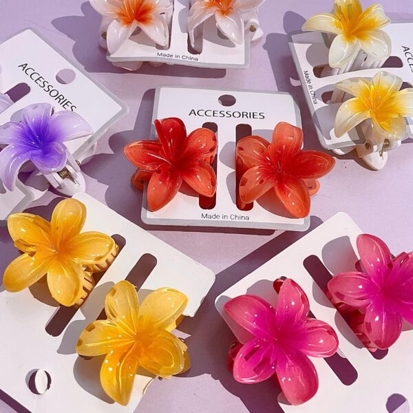 Pinzas Hawaianas Flor Tendencia (Pack x2)